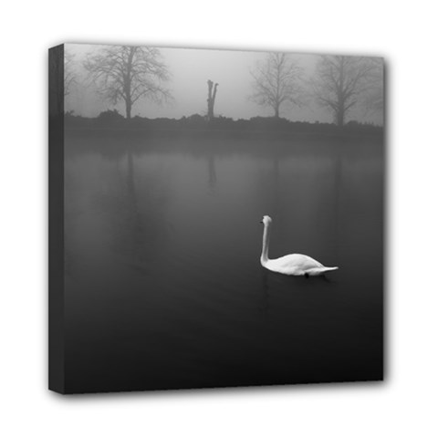 Swan 8  X 8  Framed Canvas Print by artposters