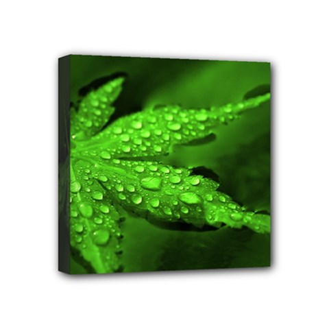 Leaf With Drops Mini Canvas 4  X 4  (framed) by Siebenhuehner