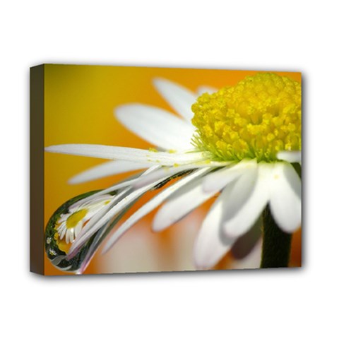 Daisy With Drops Deluxe Canvas 16  X 12  (framed)  by Siebenhuehner