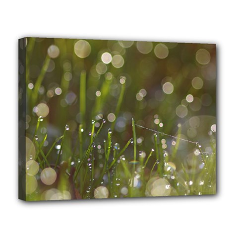 Waterdrops Canvas 14  X 11  (framed) by Siebenhuehner