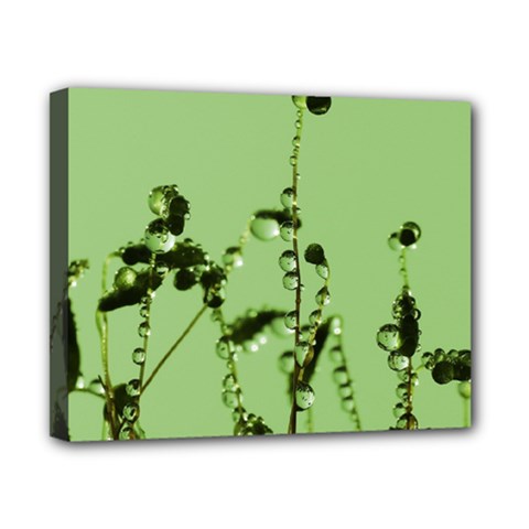 Mint Drops  Canvas 10  X 8  (framed) by Siebenhuehner