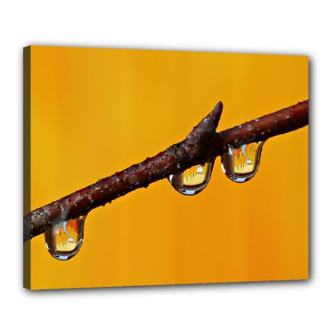 Tree Drops  Canvas 20  X 16  (framed) by Siebenhuehner