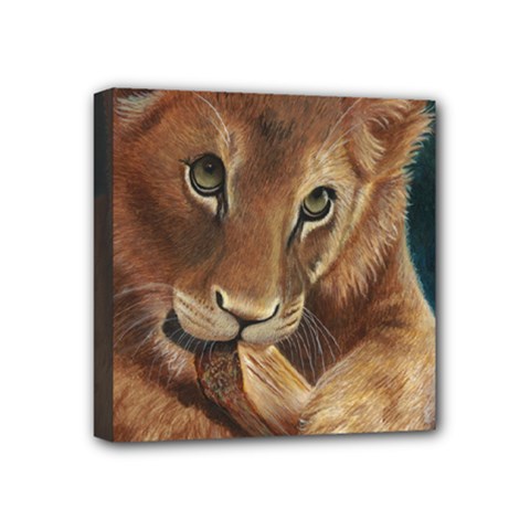 Playful  Mini Canvas 4  X 4  (framed) by TonyaButcher