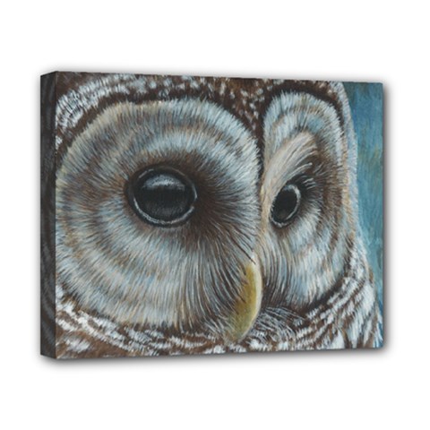 Barred Owl Canvas 10  X 8  (framed) by TonyaButcher