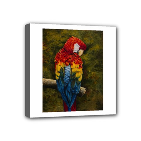 Preening Mini Canvas 4  X 4  (framed) by TonyaButcher