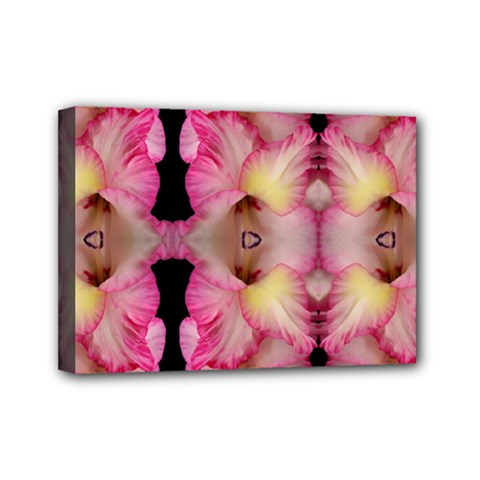 Pink Gladiolus Flowers Mini Canvas 7  X 5  (framed) by Artist4God