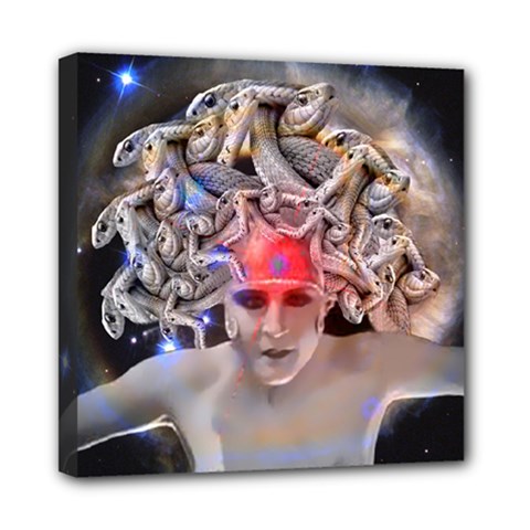 Medusa Mini Canvas 8  X 8  (framed) by icarusismartdesigns