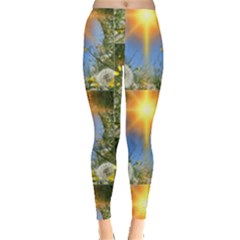 Dandelions Leggings  by boho