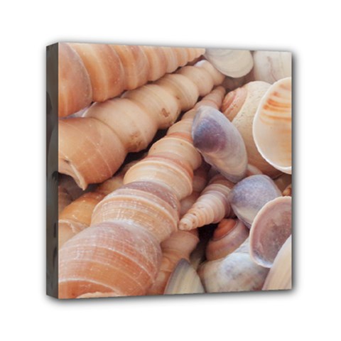 Seashells 3000 4000 Mini Canvas 6  X 6  (framed) by yoursparklingshop