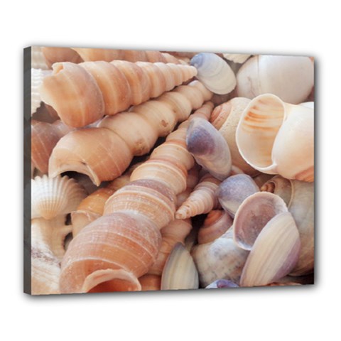 Sea Shells Canvas 20  X 16  (framed) by yoursparklingshop