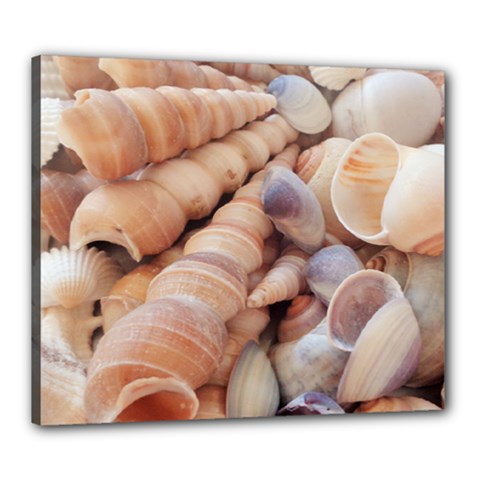 Sea Shells Canvas 24  X 20  (framed) by yoursparklingshop