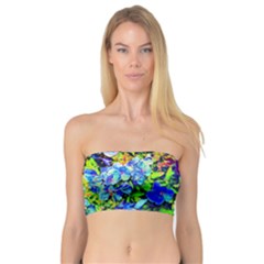 The Neon Garden Women s Bandeau Tops by rokinronda