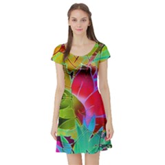 Floral Abstract 1 Short Sleeve Skater Dresses by MedusArt