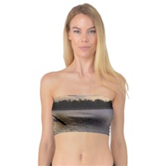 Intercoastal Seagulls 3 Women s Bandeau Tops by Jamboo