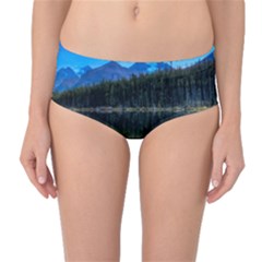 Herbert Lake Mid-waist Bikini Bottoms by trendistuff