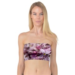 Purple Lilacs Women s Bandeau Tops by trendistuff