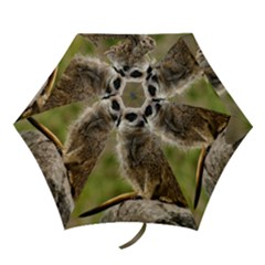 Meerkat Mini Folding Umbrellas by trendistuff