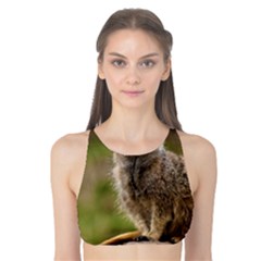 Meerkat Tank Bikini Top by trendistuff