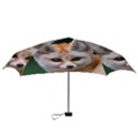 BABY FOX Mini Folding Umbrellas View3