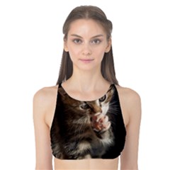 Talk To The Paw Tank Bikini Top by trendistuff