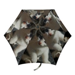 Questioning Kitty Mini Folding Umbrellas by trendistuff