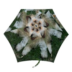 Cute Cavapoo Puppy Mini Folding Umbrellas by trendistuff