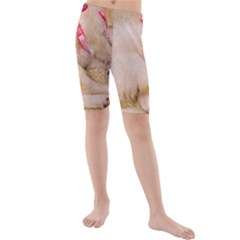 Adorable Sleeping Puppy Kid s Mid Length Swim Shorts by trendistuff