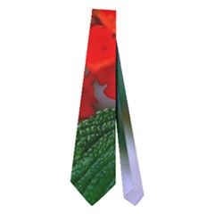 Butterfly Flowers 1 Neckties (two Side)  by trendistuff