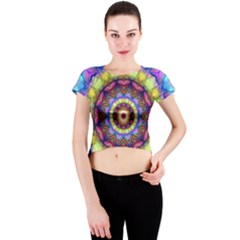 Rainbow Glass Crew Neck Crop Top by Zandiepants