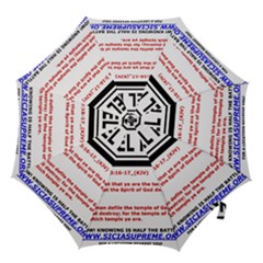 Israel Home Temple Of God Hook Handle Umbrellas (large) by SugaPlumsEmporium