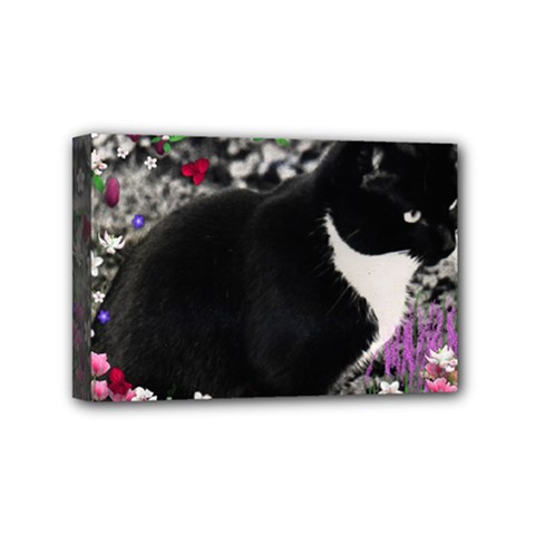 Freckles In Flowers Ii, Black White Tux Cat Mini Canvas 6  X 4  by DianeClancy