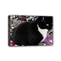 Freckles In Flowers Ii, Black White Tux Cat Mini Canvas 6  x 4  View1