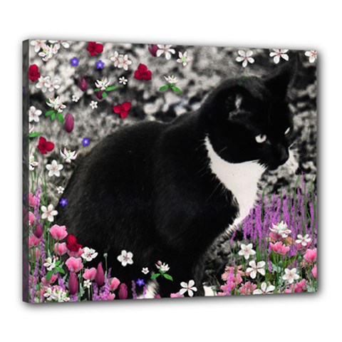 Freckles In Flowers Ii, Black White Tux Cat Canvas 24  X 20  by DianeClancy