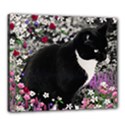 Freckles In Flowers Ii, Black White Tux Cat Canvas 24  x 20  View1