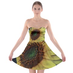 Sunflower Photography  Strapless Dresses by vanessagf