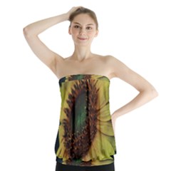 Sunflower Photography  Strapless Top by vanessagf