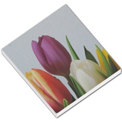 Tulips Small Memo Pads by picsaspassion