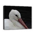 Wild Stork bird Canvas 10  x 8  View1