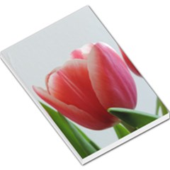 Red Tulips Large Memo Pads by picsaspassion