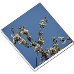 White Cherry Flowers And Blue Sky Small Memo Pads by picsaspassion