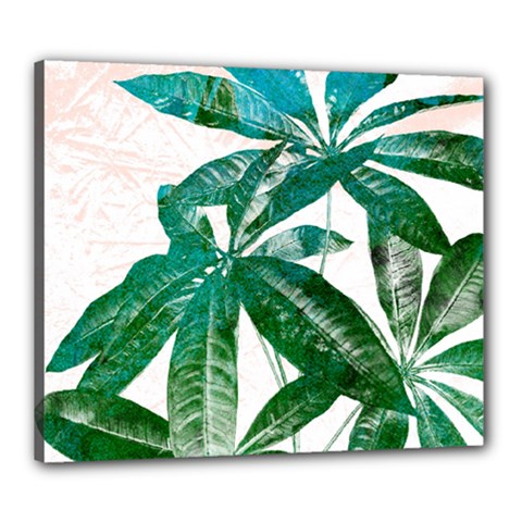 Pachira Leaves  Canvas 24  X 20  by DanaeStudio