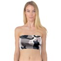 Elegant cats Bandeau Top View1