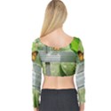 Butterfly #17 Long Sleeve Crop Top View2