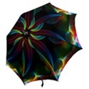 Abstract Rainbow Twirls Hook Handle Umbrellas (Large) View2