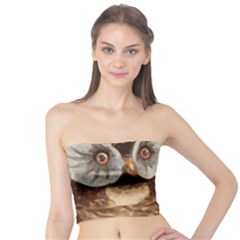 Owl And Black Cat Tube Top by Nexatart