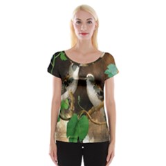 Backdrop Colorful Bird Decoration Women s Cap Sleeve Top by Nexatart