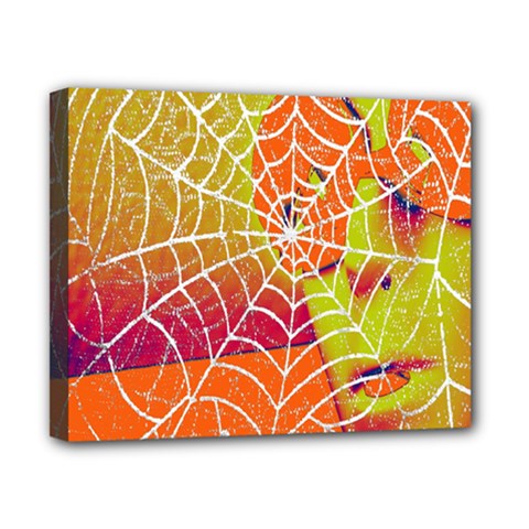 Orange Guy Spider Web Canvas 10  X 8  by Nexatart