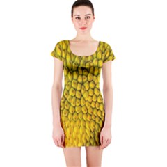 Jack Shell Jack Fruit Close Short Sleeve Bodycon Dress by Amaryn4rt