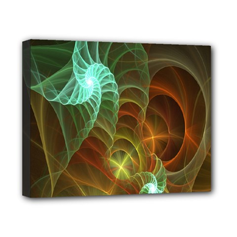 Art Shell Spirals Texture Canvas 10  X 8  by Simbadda