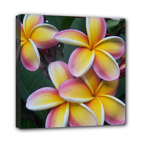 Premier Mix Flower Mini Canvas 8  X 8  by alohaA